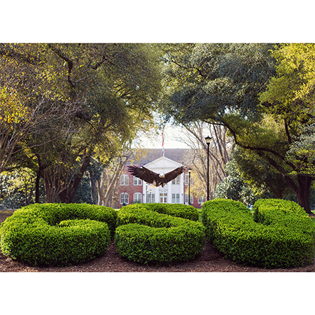 Georgia Southern University